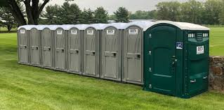 Best Portable Restroom Removal and Pickup  in Pleasant Hill, TX